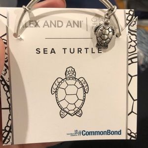 NEVER WORN Alex & Ani Sea Turtle Bracelet